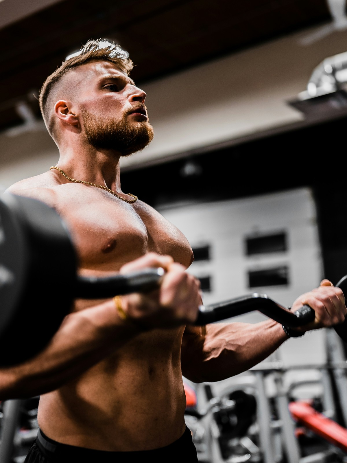 Athlete performing a barbell bicep curl in the gym